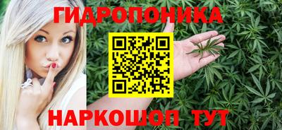 прущие крисы Гусев