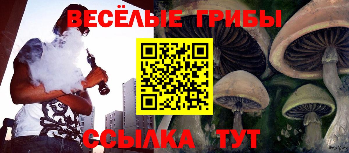 Галлюциногенные грибы ЛСД Нововоронеж