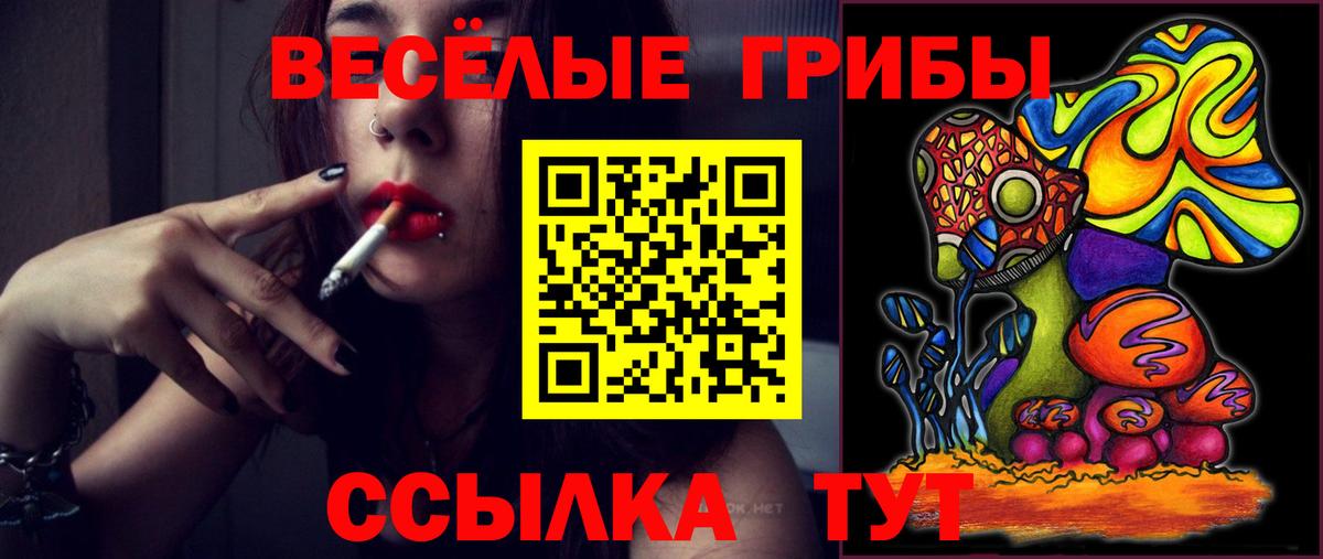 Псилоцибиновые грибы мухоморы  Вход с VPN  Нововоронеж 