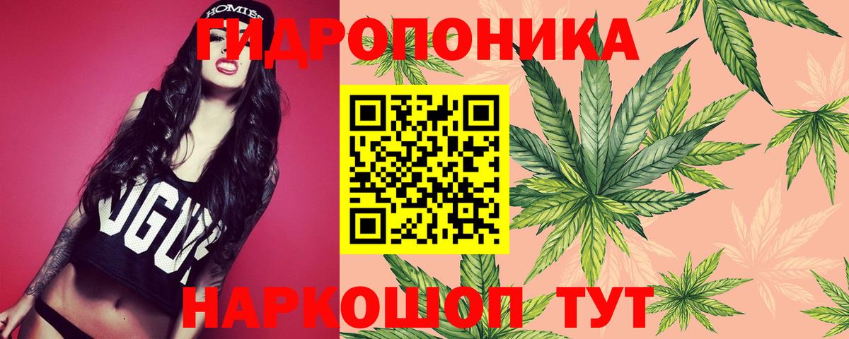 Каннабис сатива  Вход с VPN  Нововоронеж  Бошки марихуана план 